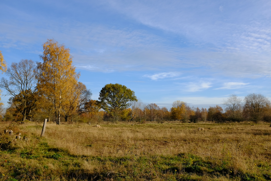 Herbst im Höltigbaum
