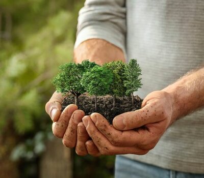 Eine Million Bäume pflanzt die SDW gemeinsam mit ihrem Kooperationspartner BAUHAUS in den nächsten zwei Jahren. (Foto: Bauhaus AG)