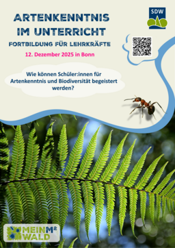 Flyer zur Fortbildung