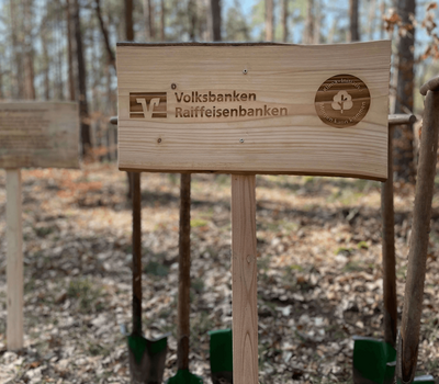Das Baumpflanzprojekt "Wurzeln" im Rahmen der Klima-Initiative "Morgen kann kommen". (Foto: SDW)
