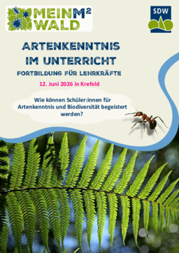 Flyer zur Fortbildung