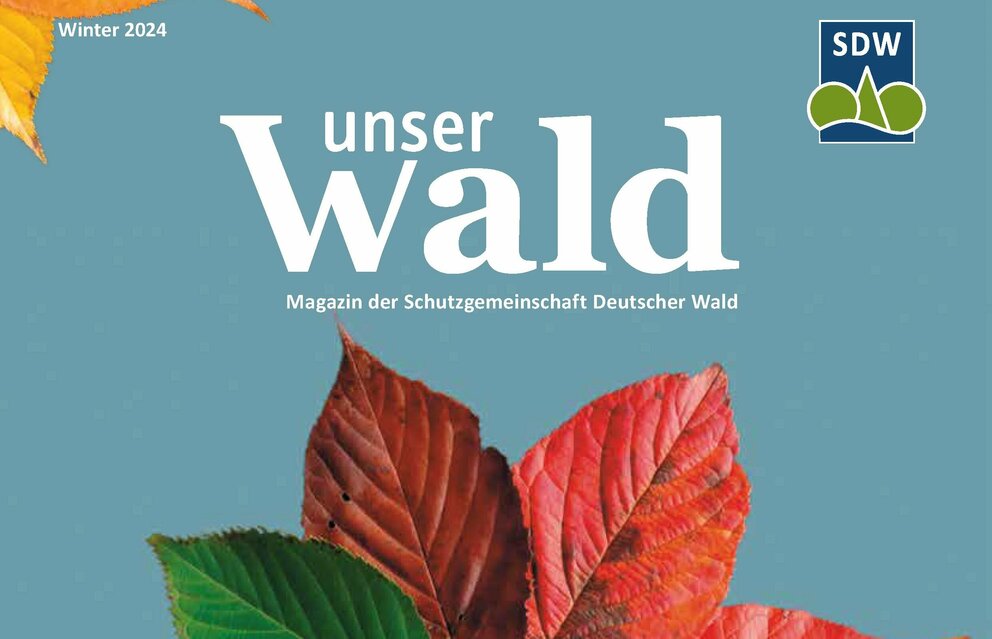 SDW: Schutzgemeinschaft Deutscher Wald Bundesverband: SDW