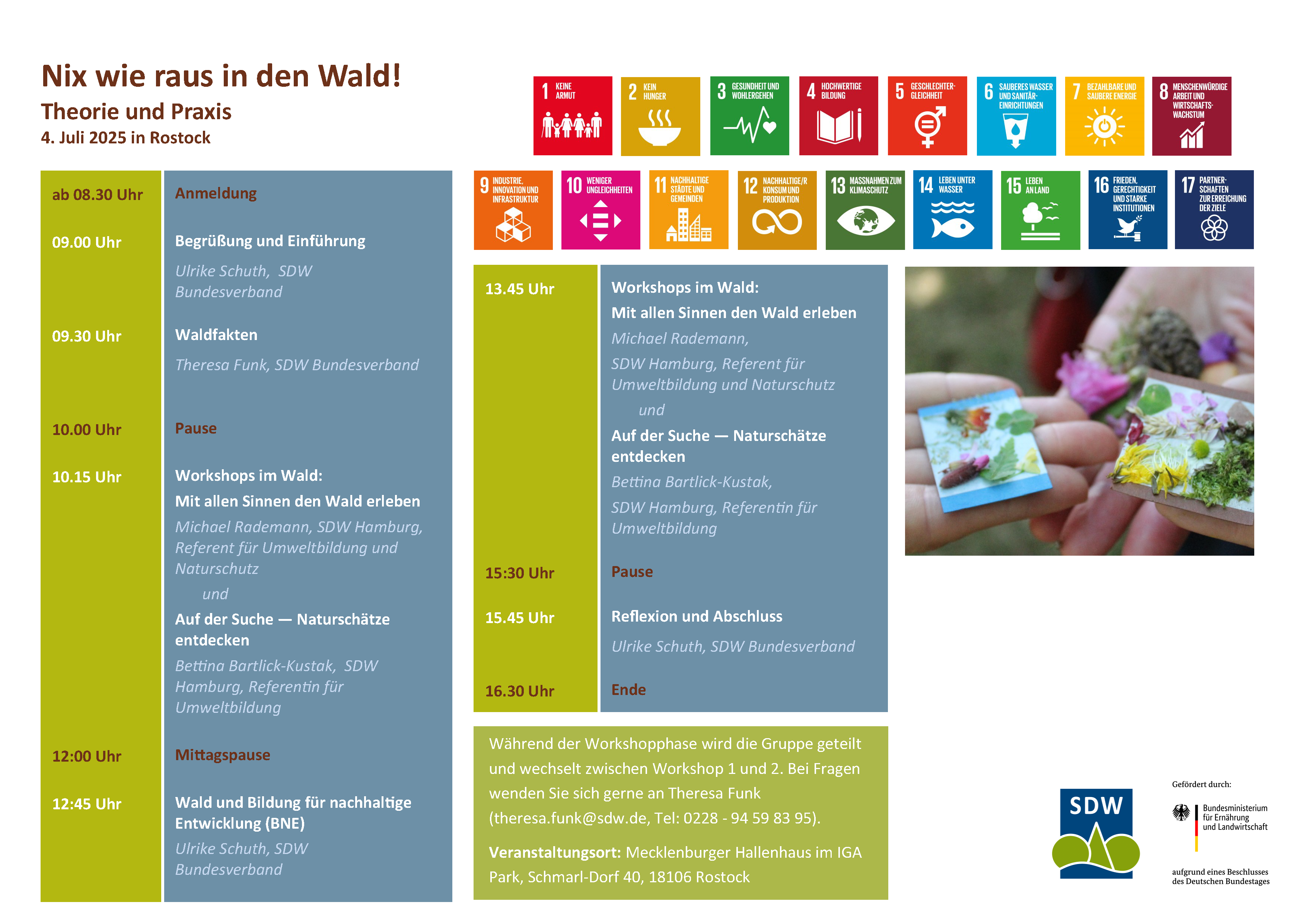 Programm zum Download